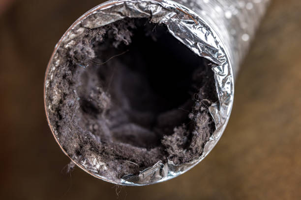 Best Emergency Air Duct Cleaning  in Enochville, NC
