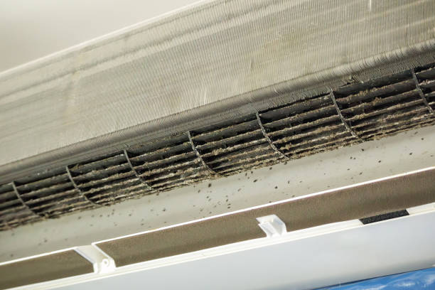 Best Air Duct Cleaning Near Me  in Enochville, NC